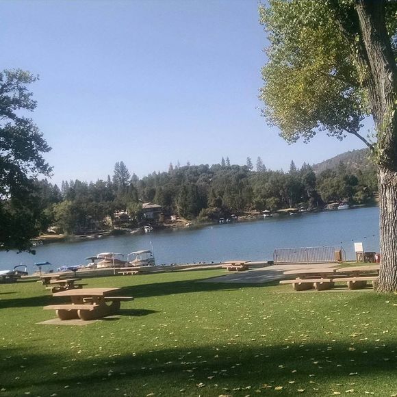 Meet your Posher, Nancy - Picture 1 of 1